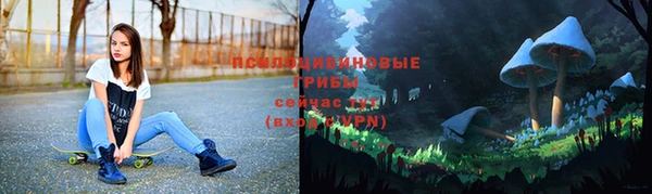 СК Абаза
