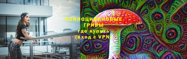 шишки Осташков