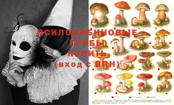 мяу мяу кристалл Алзамай