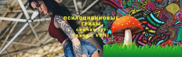 гидропоника Алексин