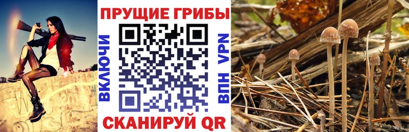 мега зеркало  как найти   Нерехта  Галлюциногенные грибы мухоморы 